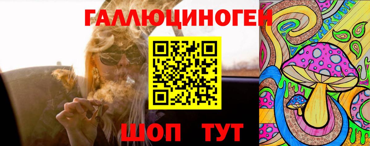 Канаш  Псилоцибиновые грибы Magic Shrooms  Вход с VPN  цена   Псилоцибиновые грибы мицелий 