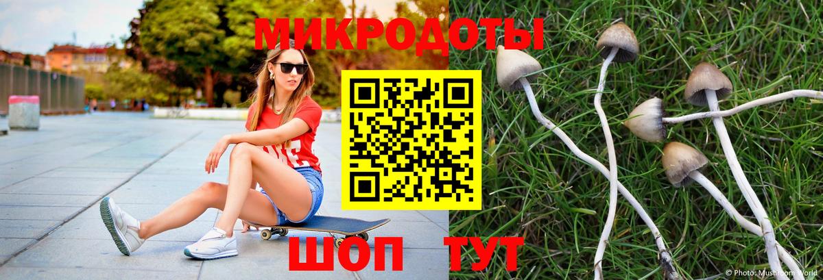 Галлюциногенные грибы мицелий Канаш
